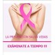 Cáncer de mama desde el diagnóstico