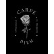 Carpe Diem - Humberto Montesinos (PDF)